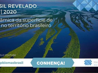 📢 Brasil Revelado 1985-2020: A dinâmica da superfície de água no território brasileiro
