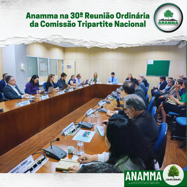 ANAMMA participa da 30ª Reunião Ordinária da Comissão Tripartite Nacional