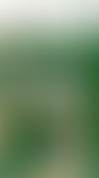 Marçal Cavalcanti destaca o papel dos municípios na COP30