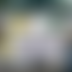 🌱 Minuto Ambiental ANAMMA🌱🔟