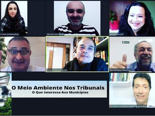 Webinar "O Meio Ambiente nos Tribunais - O que interessa aos Municípios?"