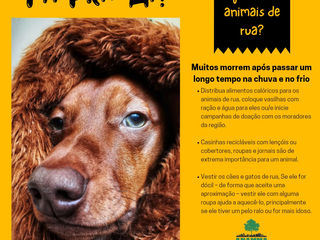 🐾 Como ajudar os animais de rua?