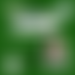 Hoje teremos a 9ª aula do Curso LICENCIAMENTO AMBIENTAL MUNICIPAL - 4ª Edição - in company com os servidores da Prefeitura de Osasco, no Estado de São Paulo.