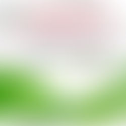 ÚLTIMO DIA DE INSCRIÇÃO!ÚLTIMAS VAGAS!!!VAGAS LIMITADAS ATÉ O DIA 12/03/24 às 17h