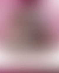 Elas cuidam | Mês do Meio Ambiente | 1º Evento Ambiental Feminino | Mulheres na Sustentabilidade