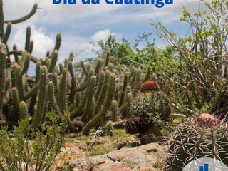 Dia da Caatinga