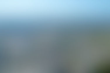 ANAMMA passa a integrar COMDEMA de Caxias do Sul