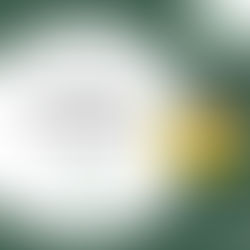 INSCRIÇÕES PRORROGADAS!