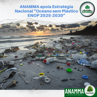 ANAMMA apoia Estratégia Nacional “Oceano sem Plástico – ENOP 2025-2030”