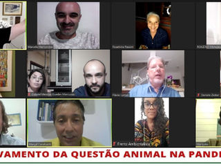 WEBINAR: O Agravamento da Questão Animal na Pandemia