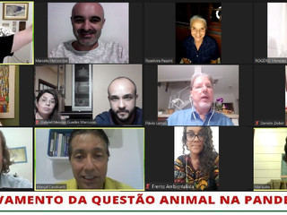 WEBINAR: O Agravamento da Questão Animal na Pandemia