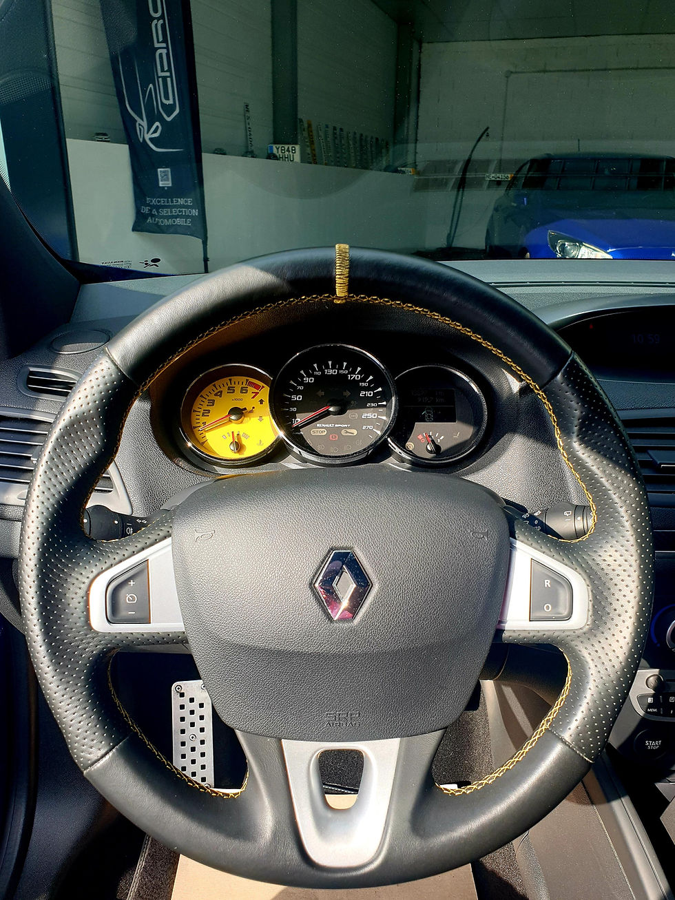 Miniature : RENAULT MEGANE RS 250
