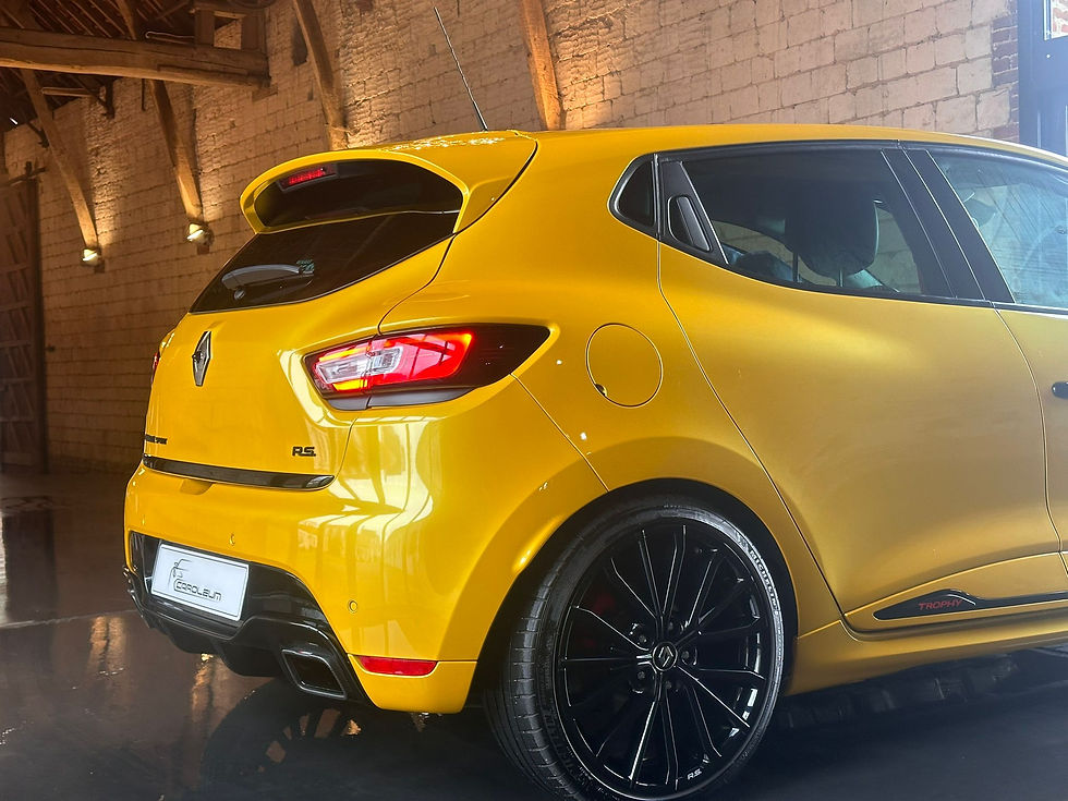 Miniature : RENAULT CLIO IV RS TROPHY 220