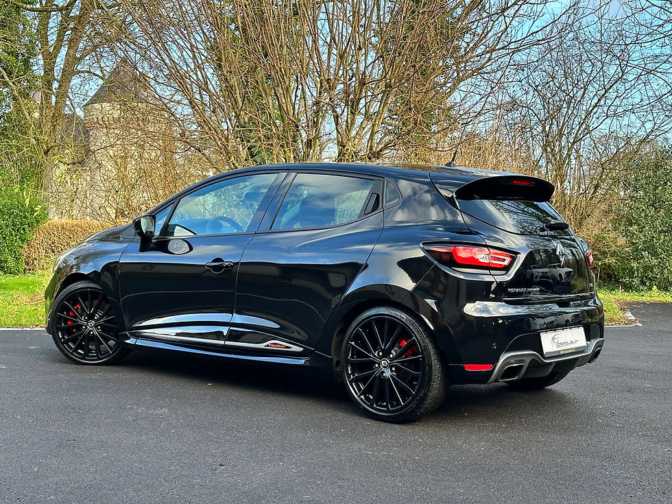 Miniature : RENAULT CLIO RS TROPHY