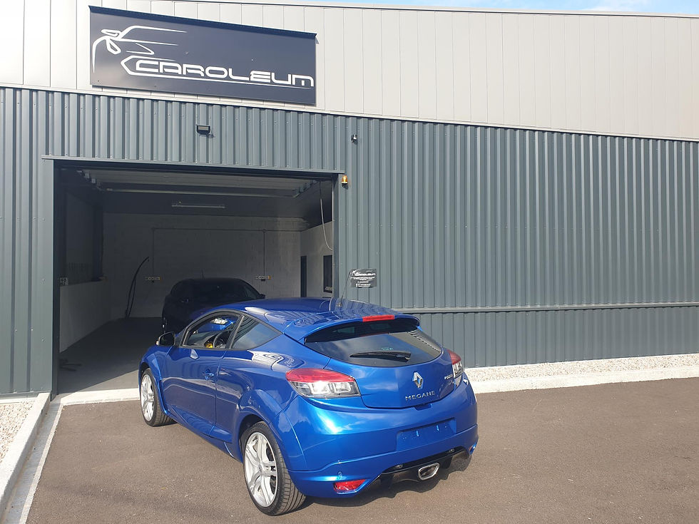 Miniature : RENAULT MEGANE RS 250