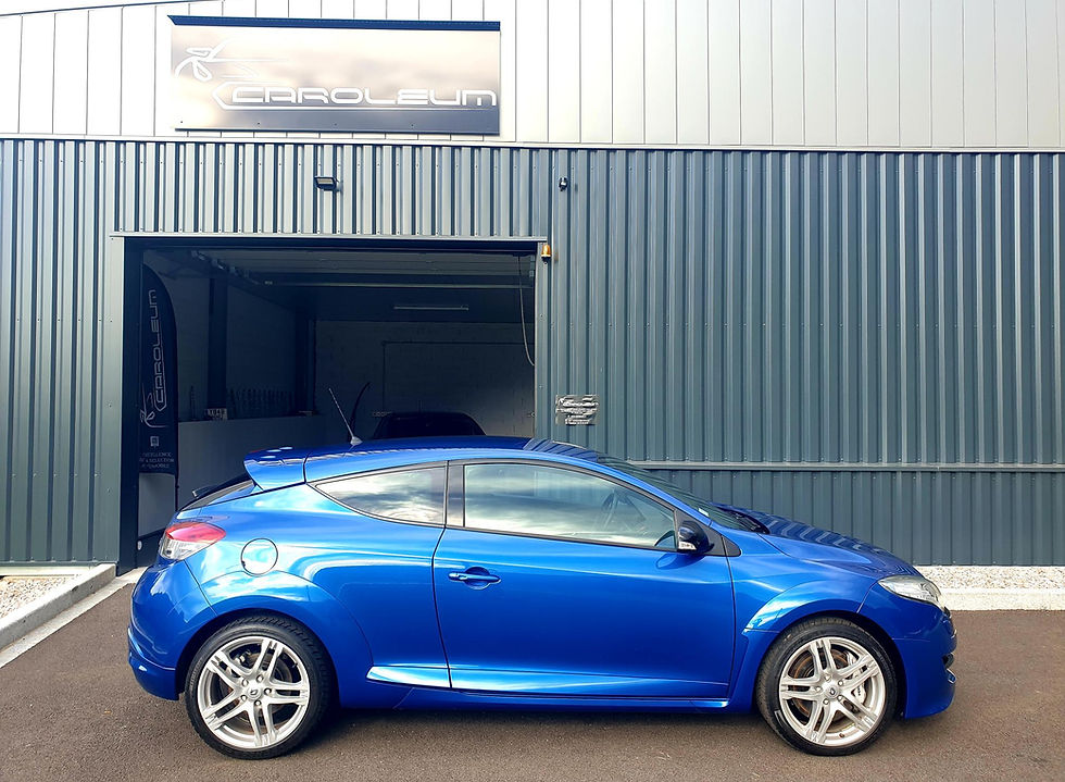 Miniature : RENAULT MEGANE RS 250