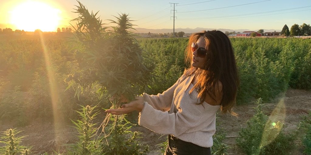 Co-Founder, Ell, at Exotic Elephant hemp farm in Longmont Colorado.