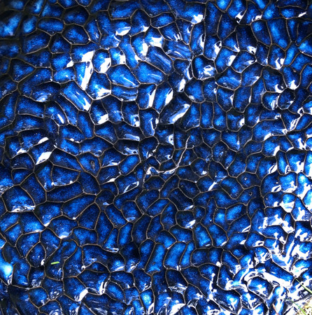 IMG_3077.jpeg