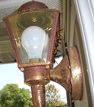 wasp in light.JPG