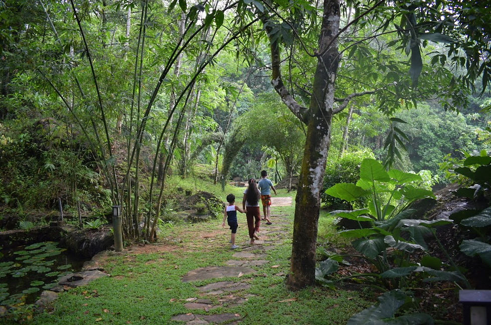 Thumbnail: A resort in Epitawala (14km away from Ingiriya)