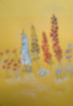 Un pré à la montagne en juin Fleurs et Couleurs 