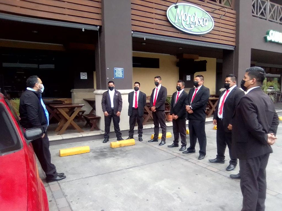 Miniatura: Seguridad Ejecutiva y Escoltas