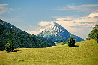 pixabay_chamchaude-3994957_1280-medium.jpg
