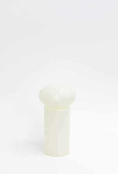 form 006 (null).jpg