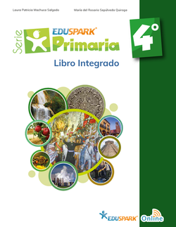 Primaria 4