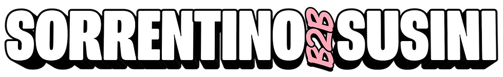 Sorrentino B2B Susini.png