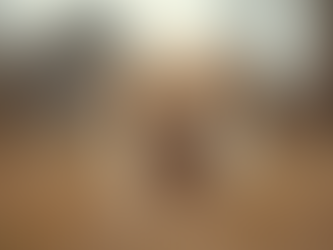 Support Our Mission: Donate to Furry Friends Farm