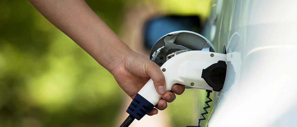 hermoso-paisaje-de-gran-arbol-en-el-bosque-con-vista-de-angel-bajo 2.png