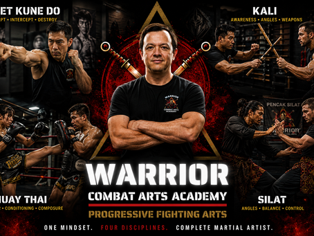 Four Martial Arts. One Complete Fighter.