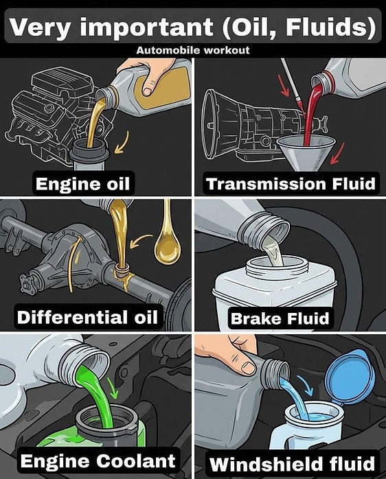5. Lubricants Check.jpg