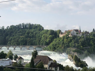 IMG_4923.jpeg