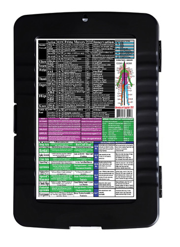 Physical and Occupational Therapy Storage Clipboard | TheraClip