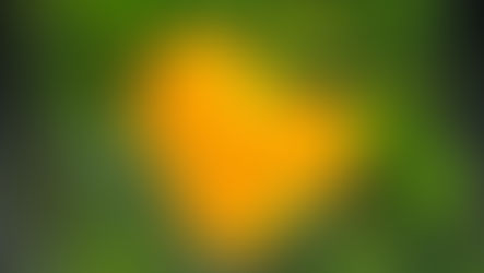 Estreia | "De Onde Eu Vim: Reconstruindo Memórias, Criando Caminhos