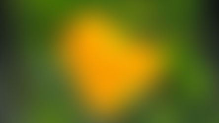 Estreia | "De Onde Eu Vim: Reconstruindo Memórias, Criando Caminhos