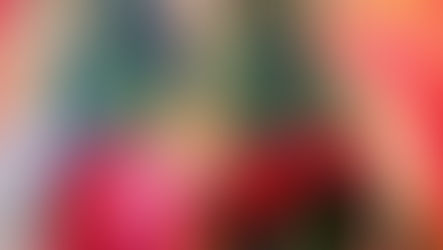 Monalisa do Sertão: entre o mito renascentista e a mulher da terra vermelha