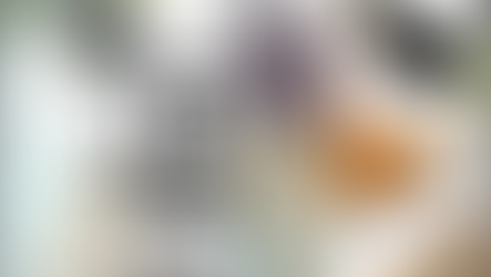 Bob Woods e a caça silenciosa das formas