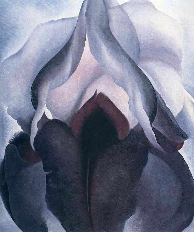 Íris Negra, 1926 por Georgia O'Keeffe