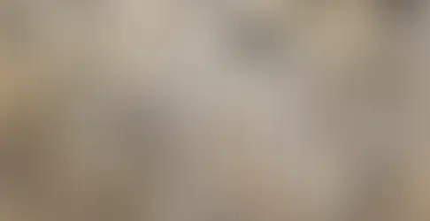 arte filosofia olhar percepção pensamento tempo criação lucidez atenção estética