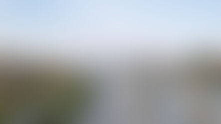 A fidelidade da luz: Michelli Cunha e a verdade dos instantes