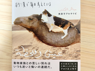 『大切な存在の死にどう向き合うか砂漠で毎日考えている』