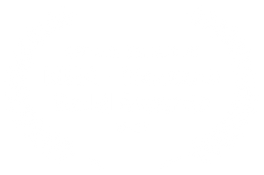 OFFICIAL SELECTION - MGA - Moscow Gold Awards - 2022.png
