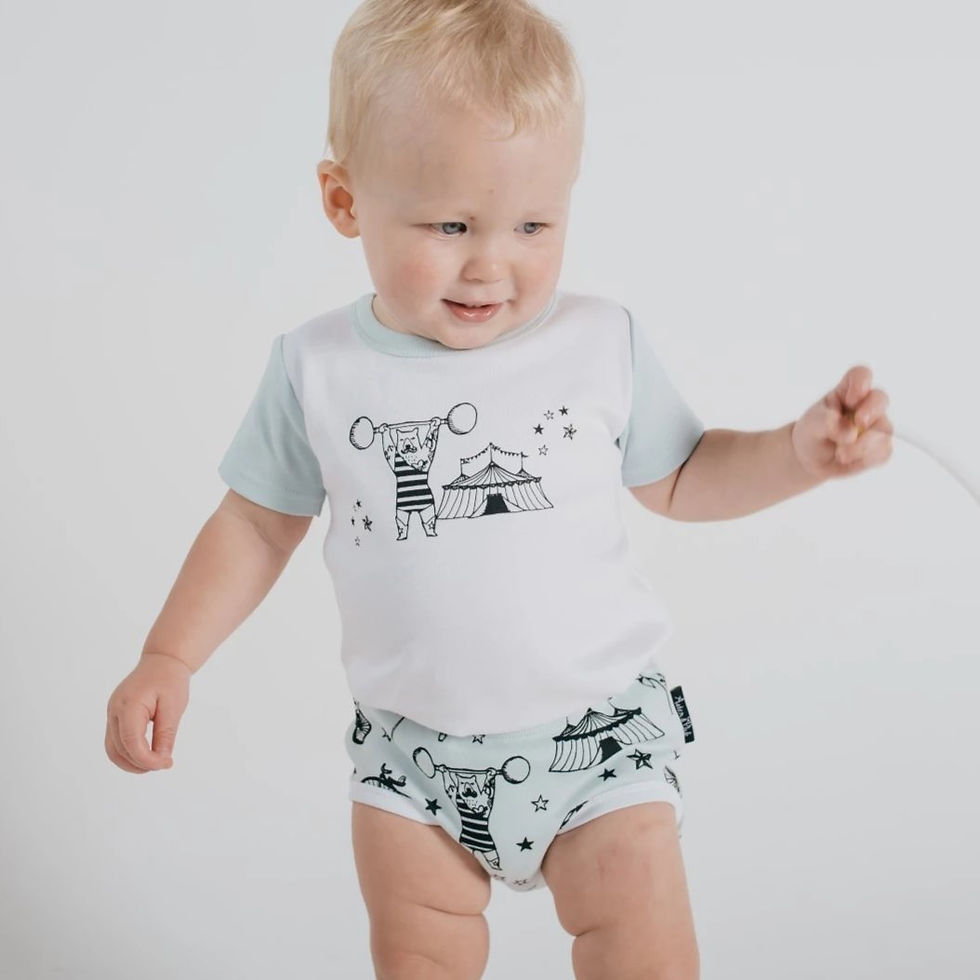 Thumbnail: Circus Nappy Cover