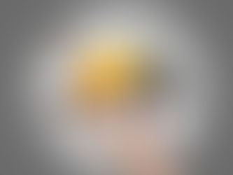 La progettazione del nuovo Codice degli Appalti pubblici - webinar e incontri