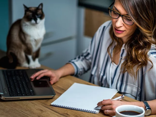 Lavoro autonomo occasionale e obbligo di comunicazione preventiva