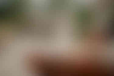 ślub słowiański warszawa, ślub plenerowy, ślub humanistyczny