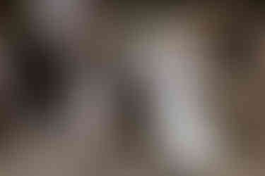 ślub słowiański warszawa, ślub plenerowy, ślub humanistyczny